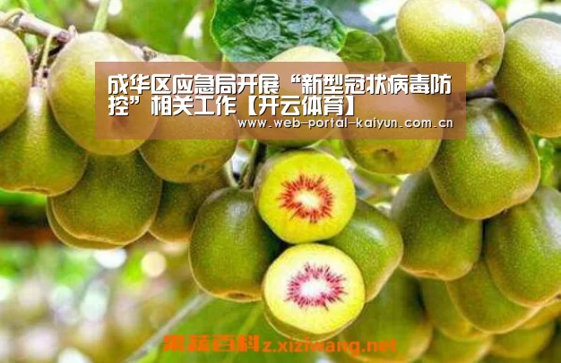 开云体育