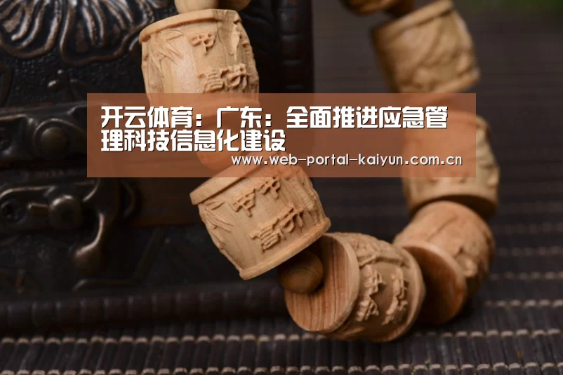 开云体育:广东:全面推进应急管理科技信息化建设(图3) 开云体育